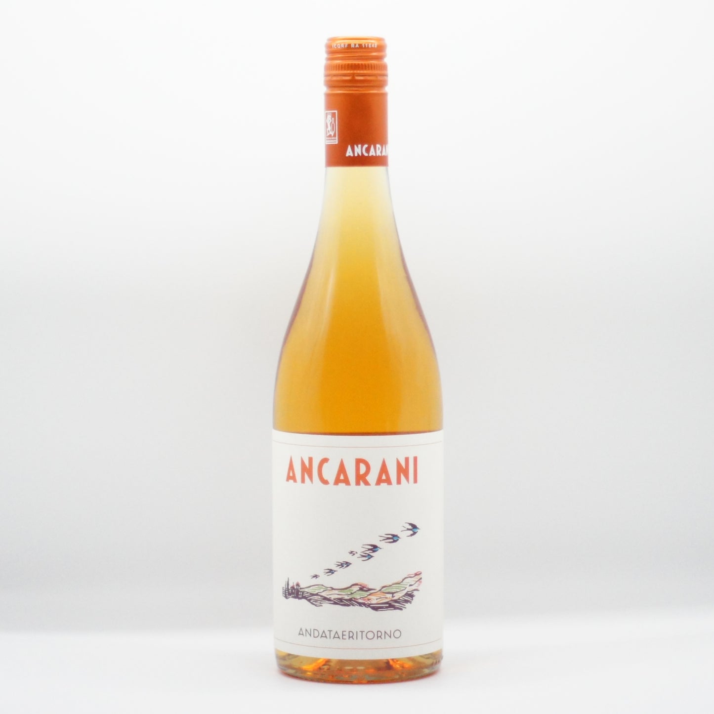 Ancarani Andataritorno