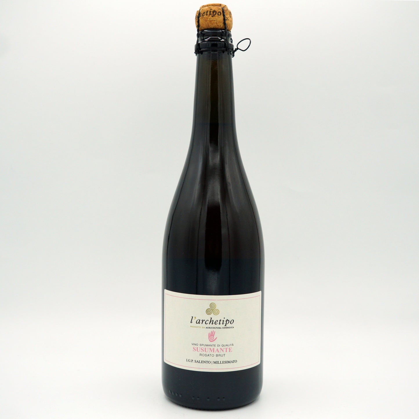 L'Architepo Susumante