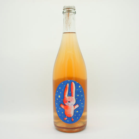 Tim Wildman Astro Bunny Pet Nat